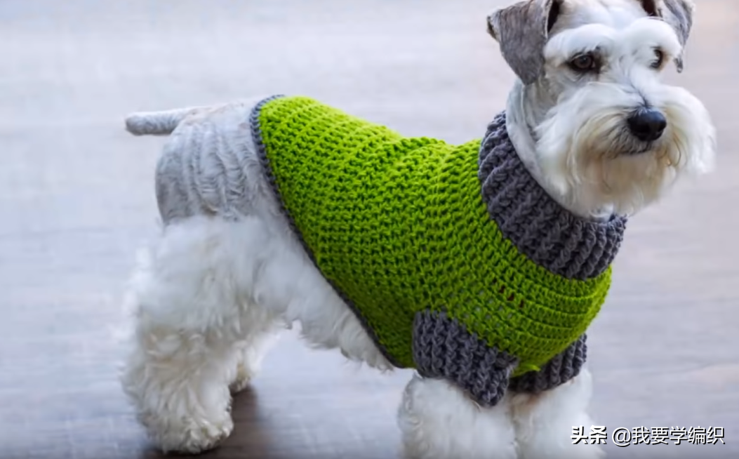 狗狗衣服怎么做