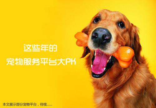 狗狗论坛哪个好