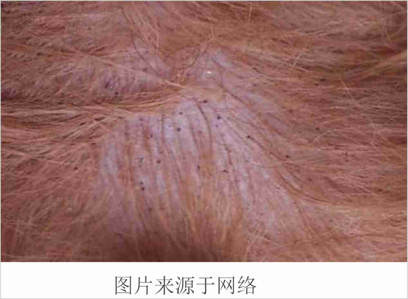 常见皮肤病症状