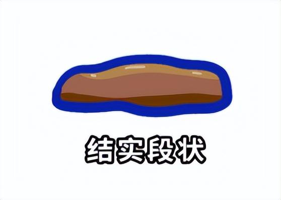 猫拉出白色粘液是什么原因