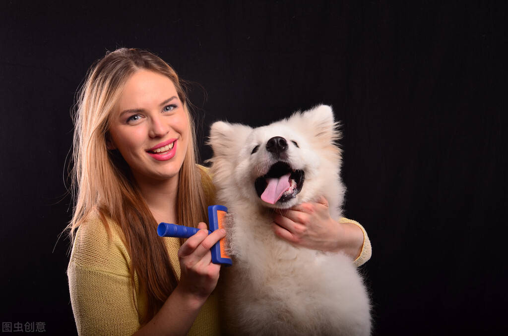 如何让金毛的毛更好