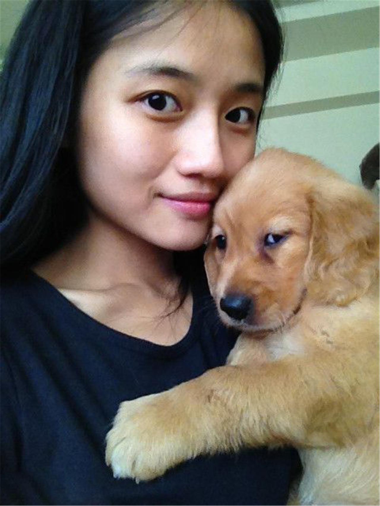 绣球犬是什么狗