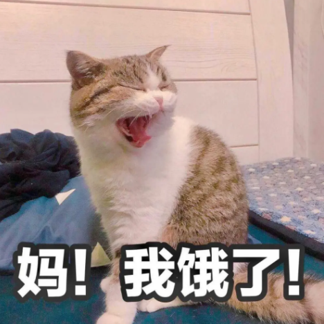 小猫发出低沉的叫声怎么回事