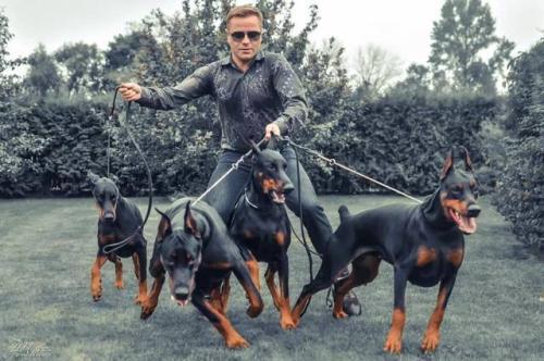 什么品种的狗最会看家