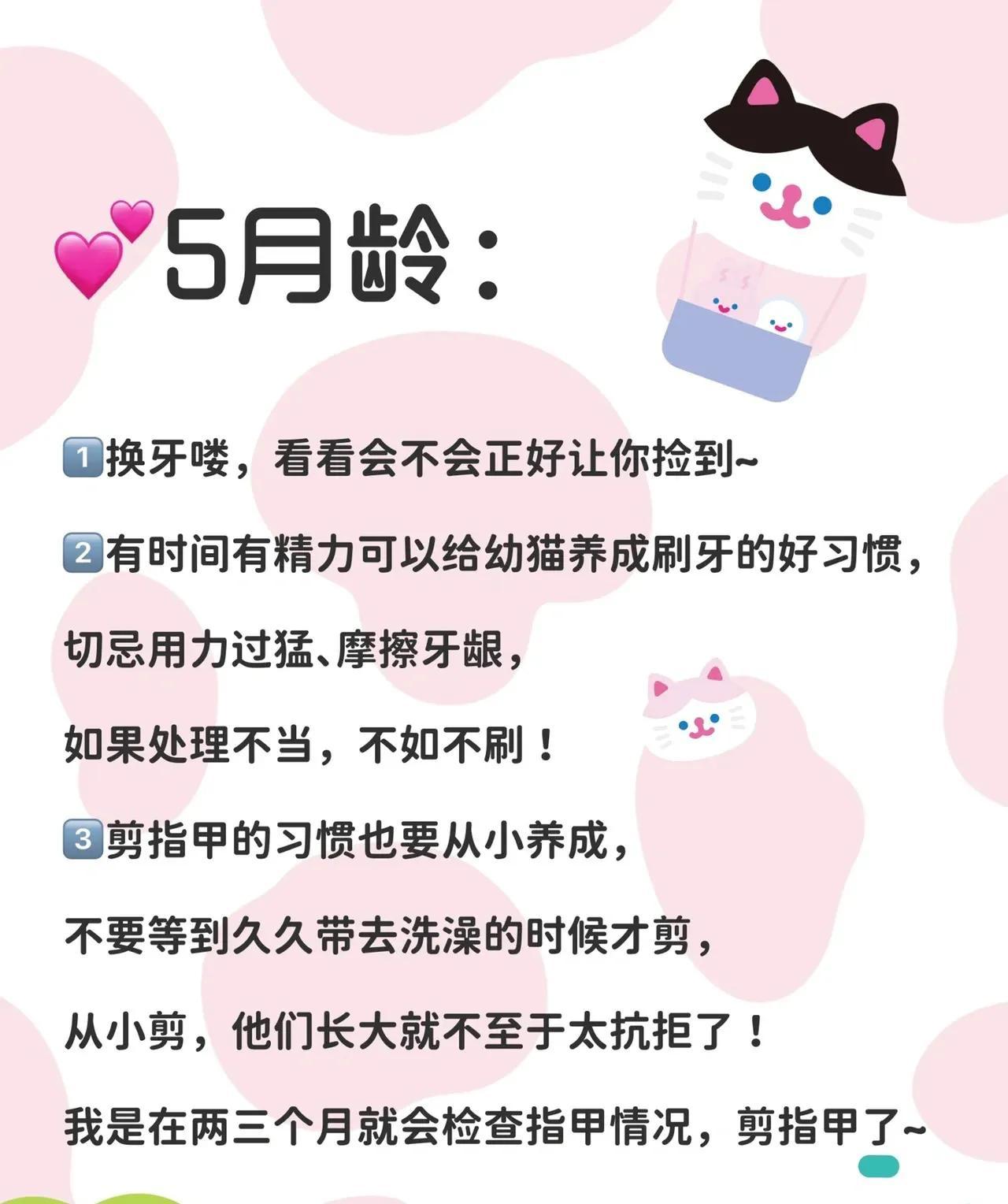 什么东西可以代替羊奶粉猫