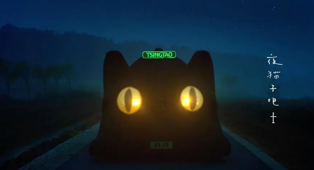 猫咪晚上不睡觉乱窜