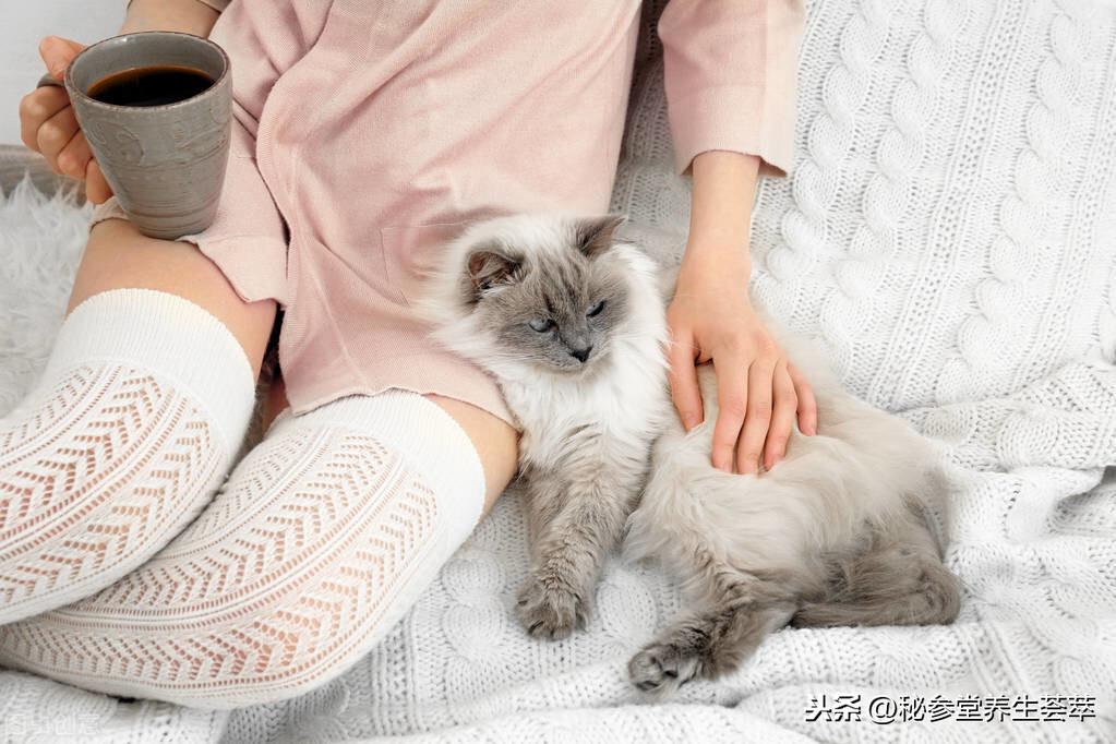 被猫抓伤了多久过安全期