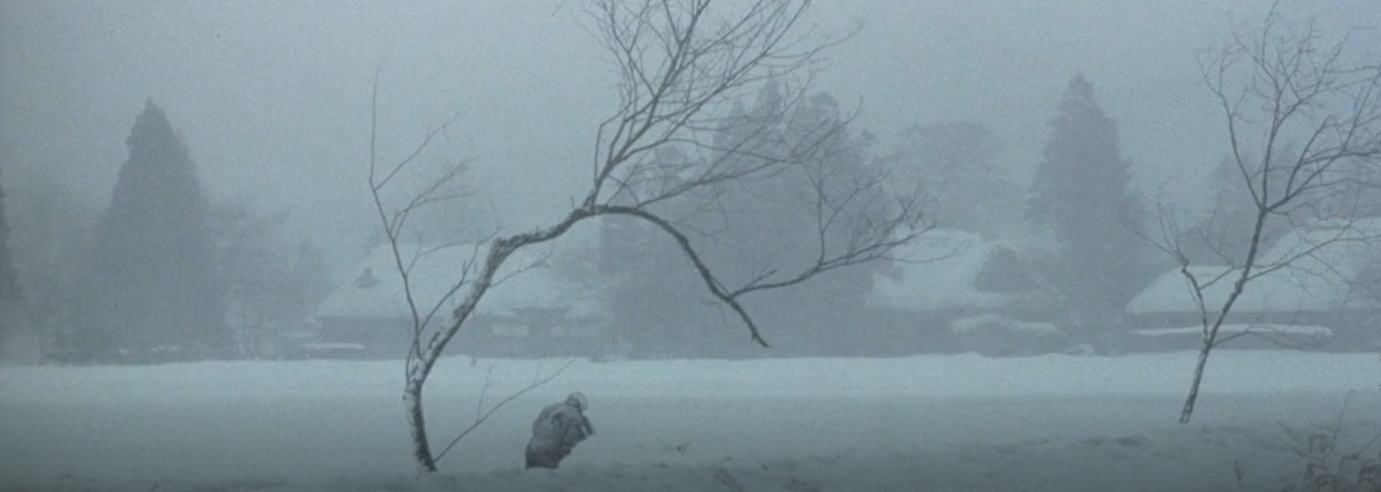 忠犬八公的故事