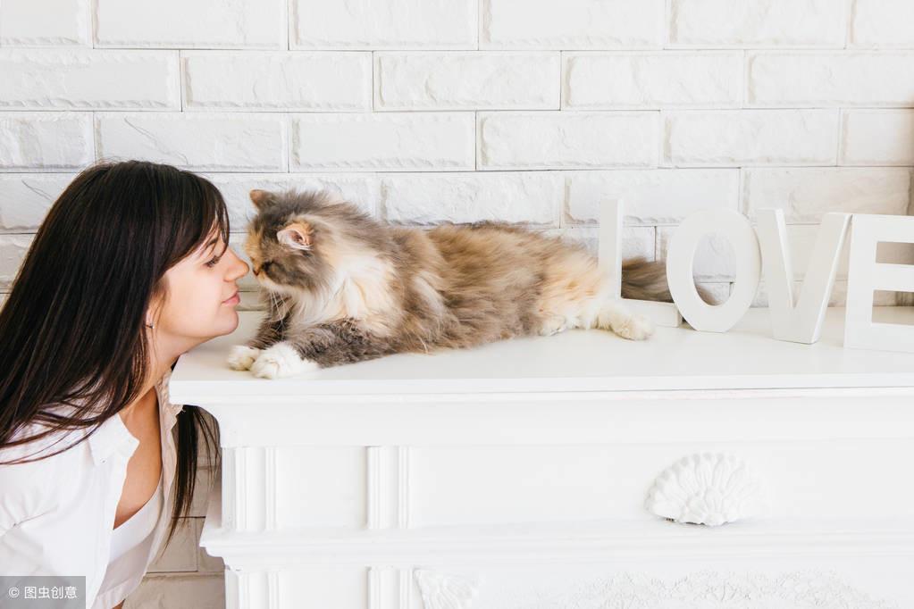 对猫过敏怎么办好治吗