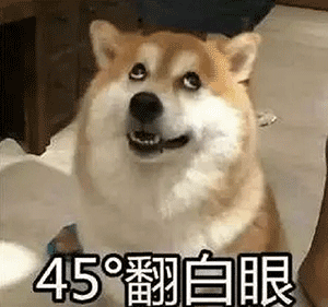 小狗起名字叫什么好听可爱