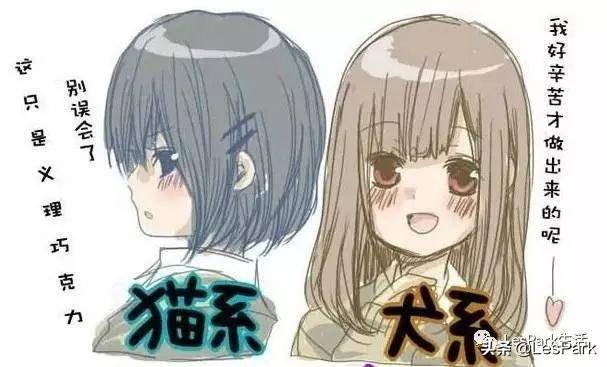 狗狗女是什么意思