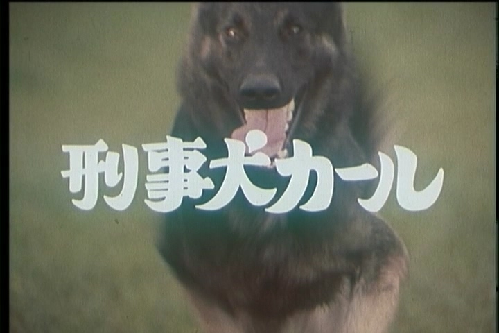 警犬卡尔全集观看