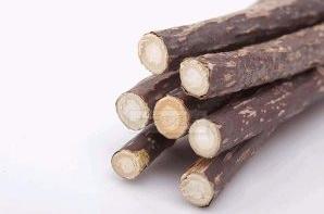 木天蓼对猫咪的害处有哪些