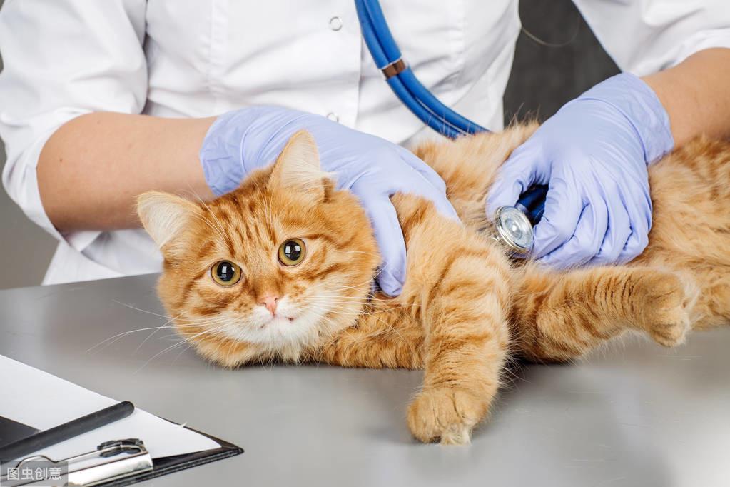 疯猫病是怎么引起的