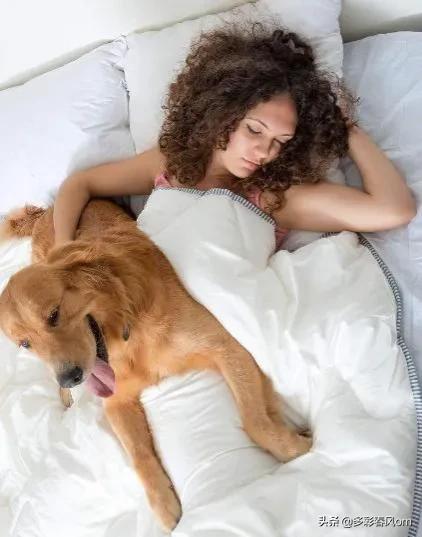 狗狗能不能和人同睡