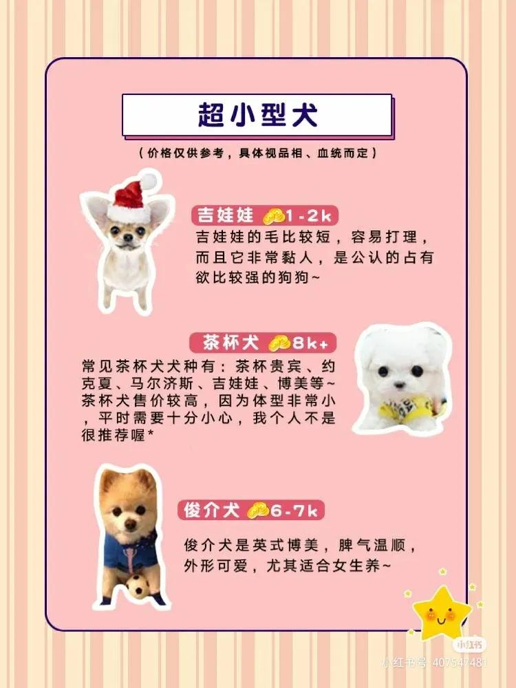 宠物犬的种类有哪些品种