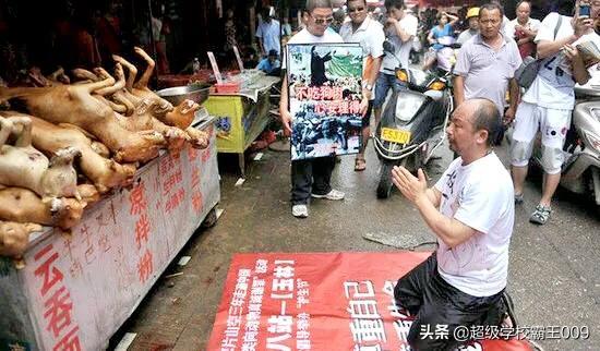 玉林狗肉节合法吗