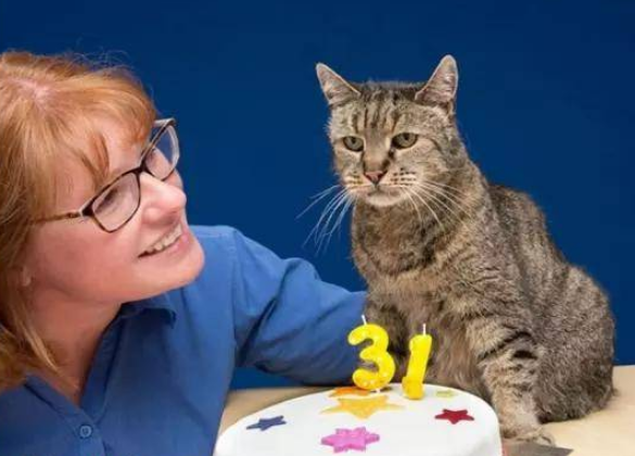 什么宠物猫寿命最长