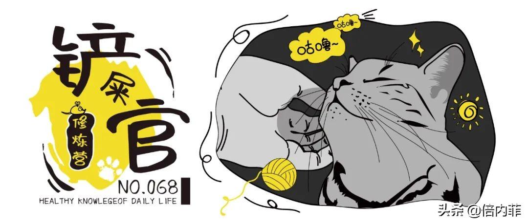 猫发出嗡嗡嗡像马达的声音