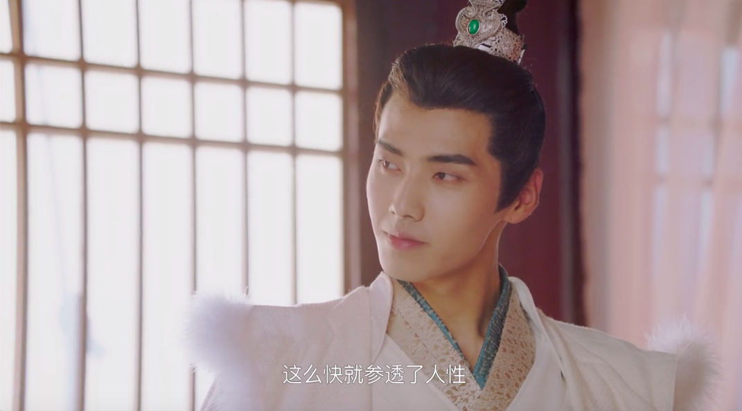 我的宠物少将军小说