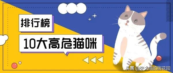 什么猫最凶猛排名第一
