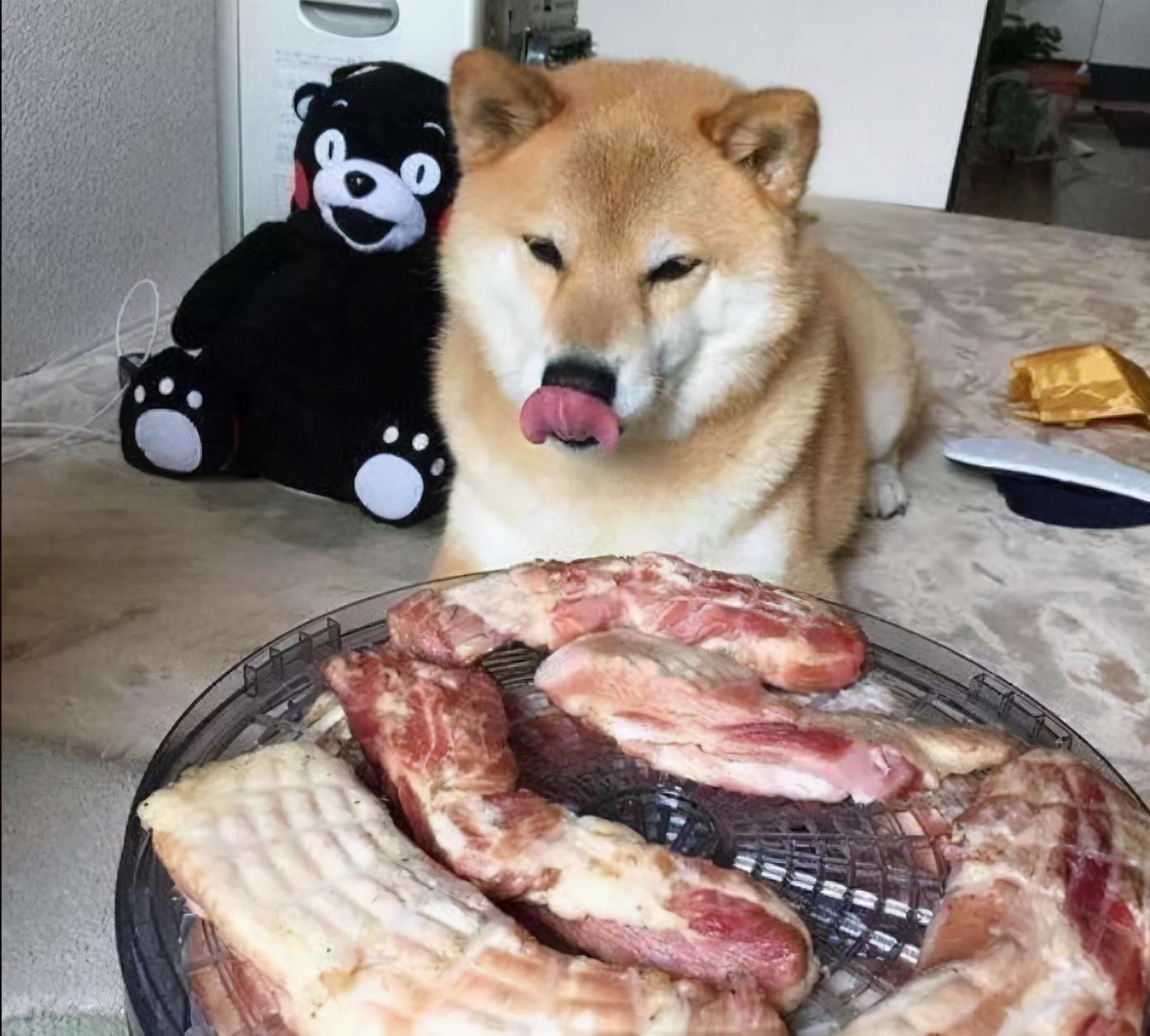 狗闻到你吃狗肉会怎样