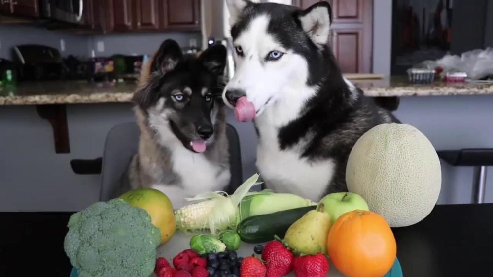 狗狗可以吃菠菜么