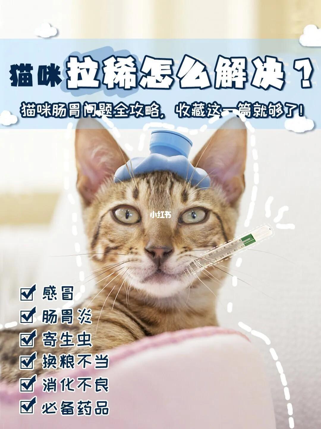 猫咪拉稀用妈咪爱可以吗