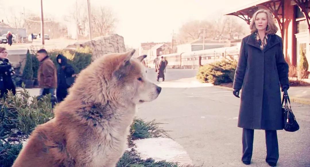 斑点狗电影叫什么名字