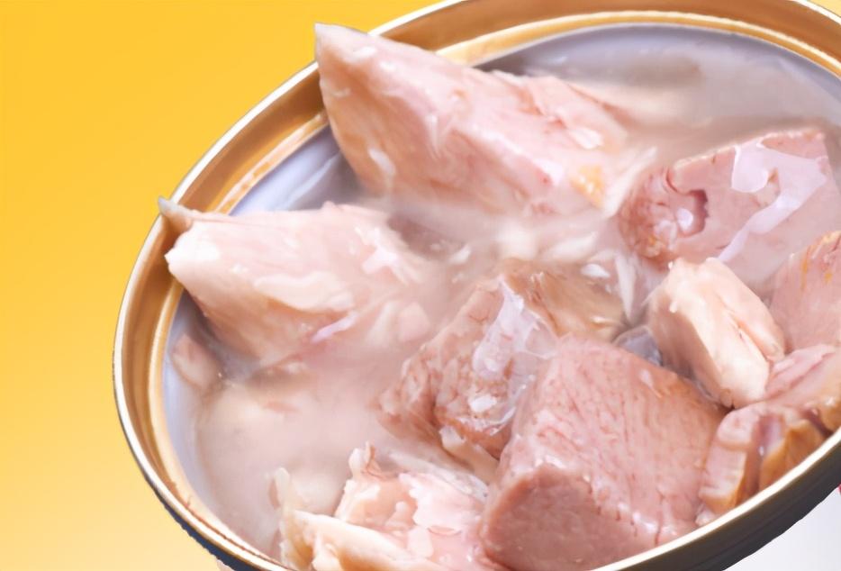 猫罐头如何区分零食还是主食