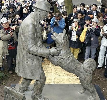 日本忠犬八公是什么狗