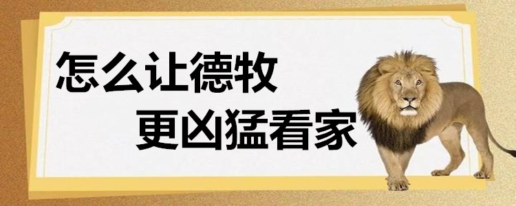 德国牧羊犬怎样训练