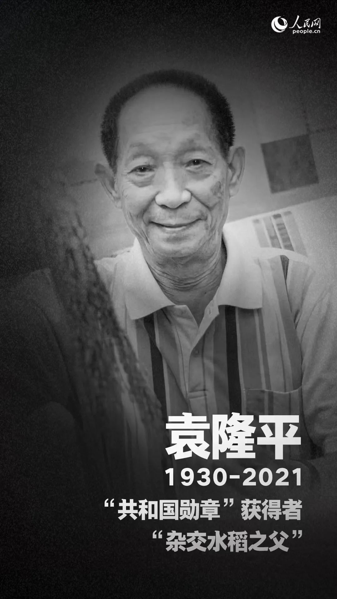 袁隆平院士逝世一周年