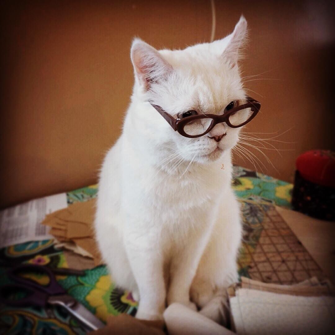 小公猫口红出来了是怎么回事