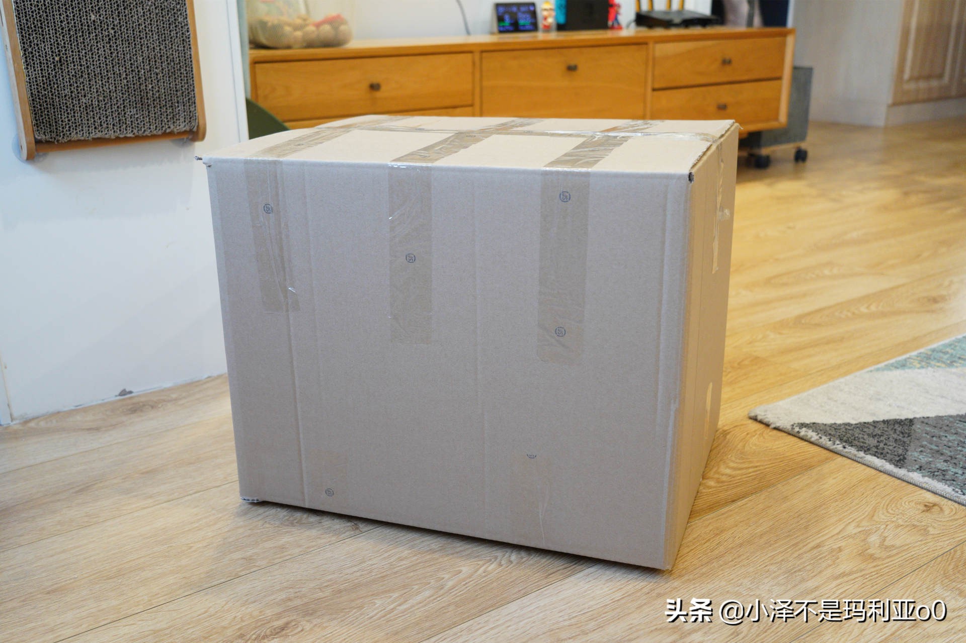 做一个猫窝怎么做