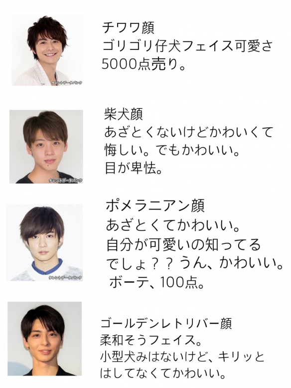 大狗狗类型的男生