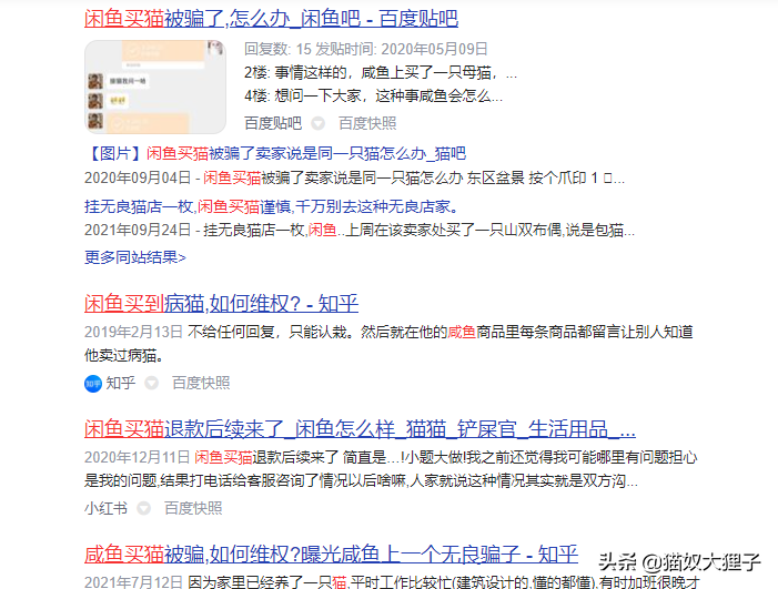 养宠物猫繁殖 能赚钱吗