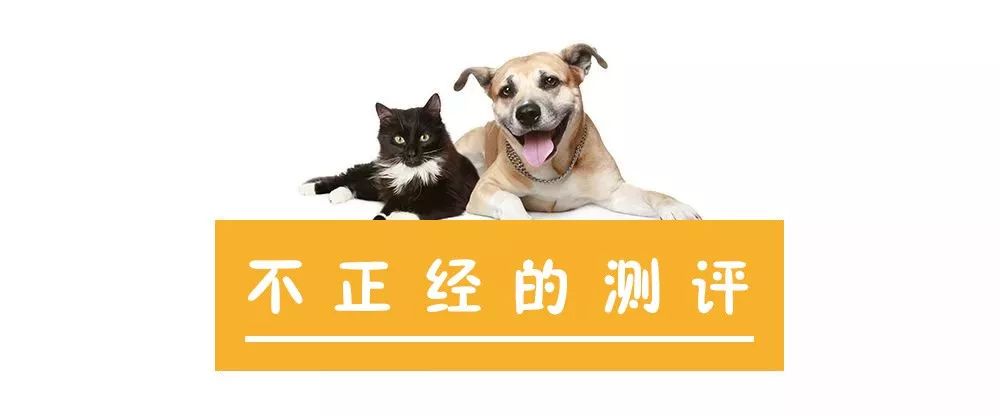 猫砂垫怎么用