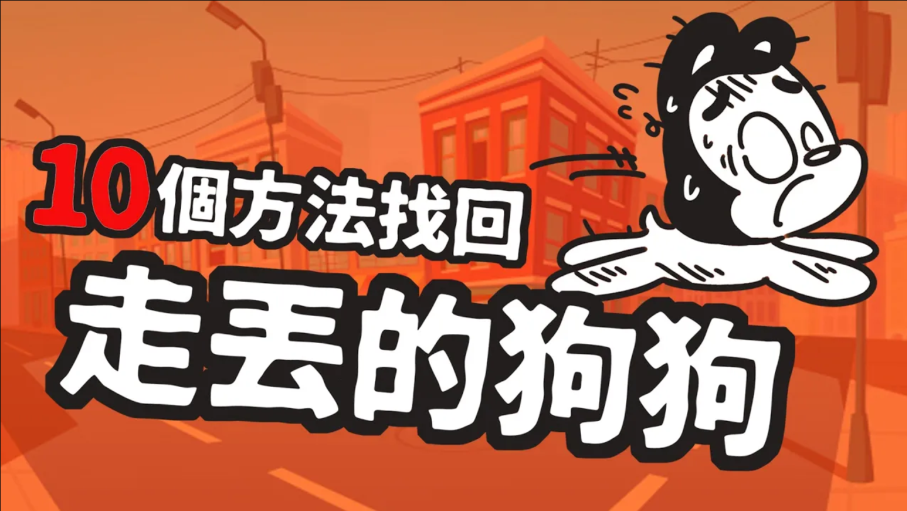 狗狗丢了怎么找最有效