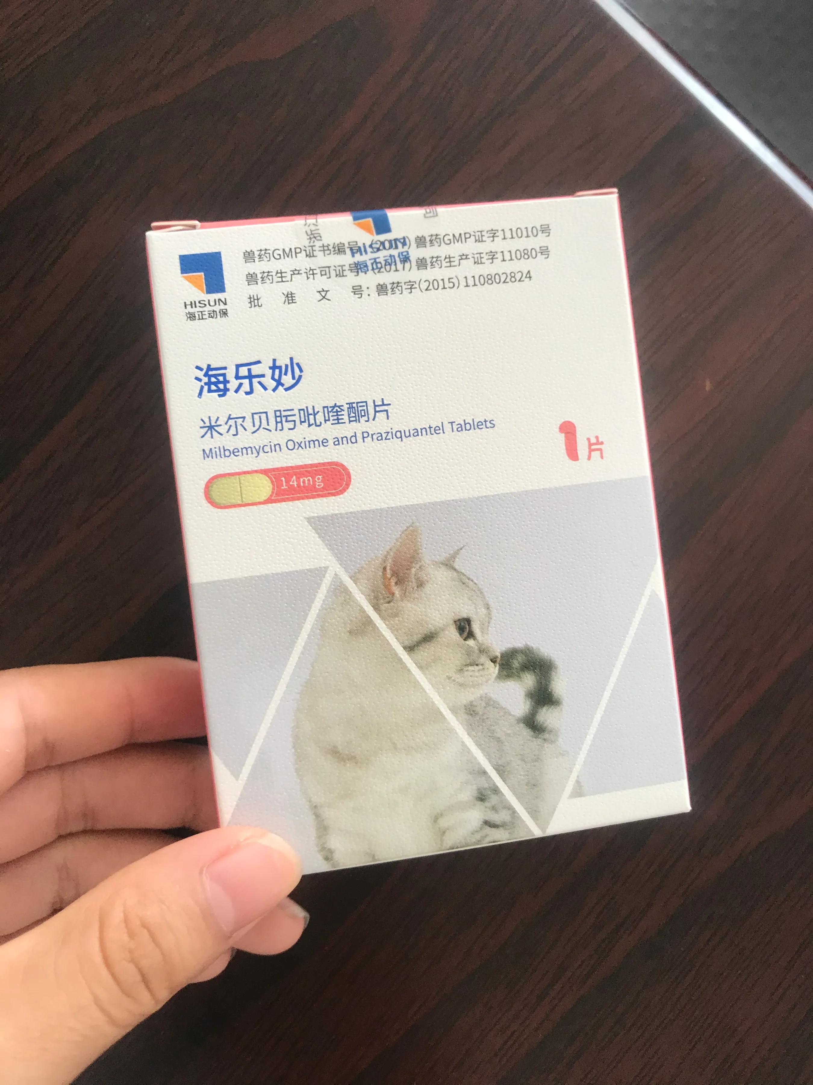 猫咪做完外驱可以跟人睡吗