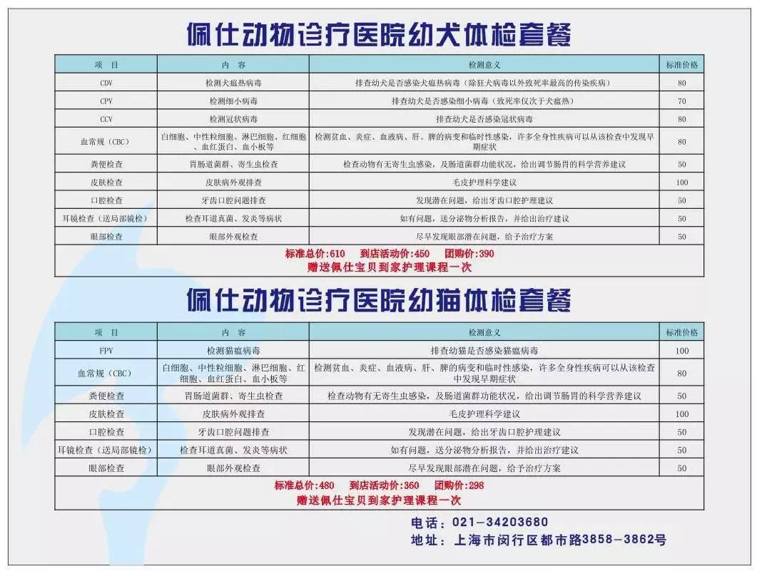 给猫咪做全身体检多少钱