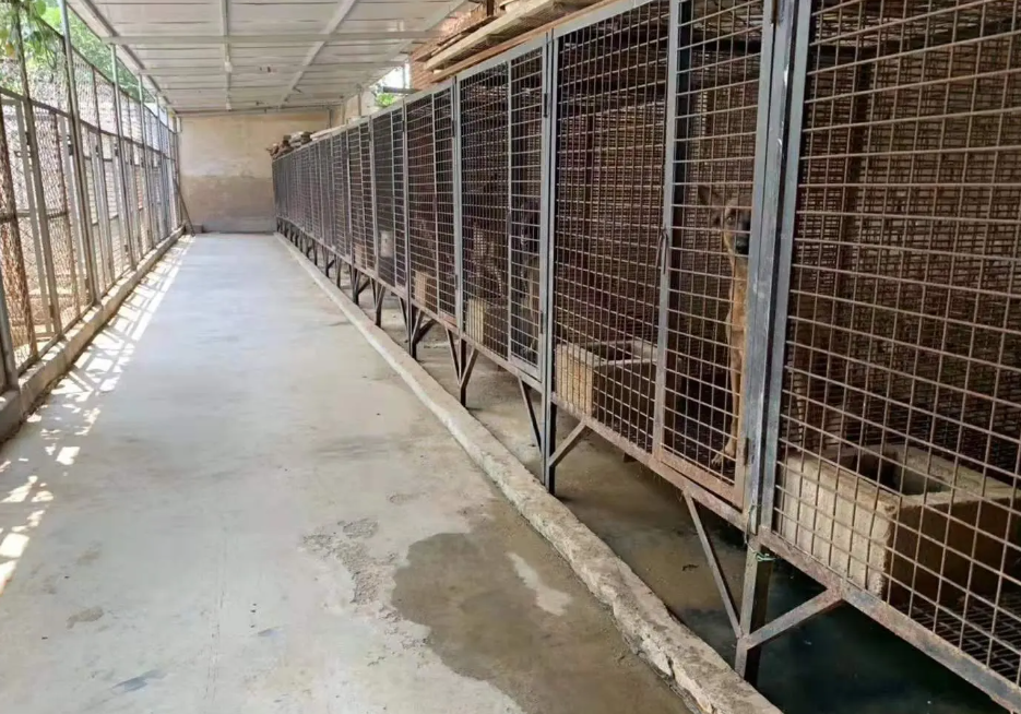 宠物饲养店需要办什么手续