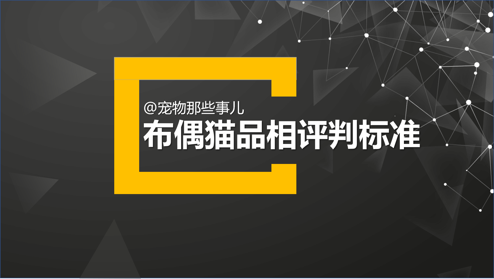 布偶猫怎么看品相