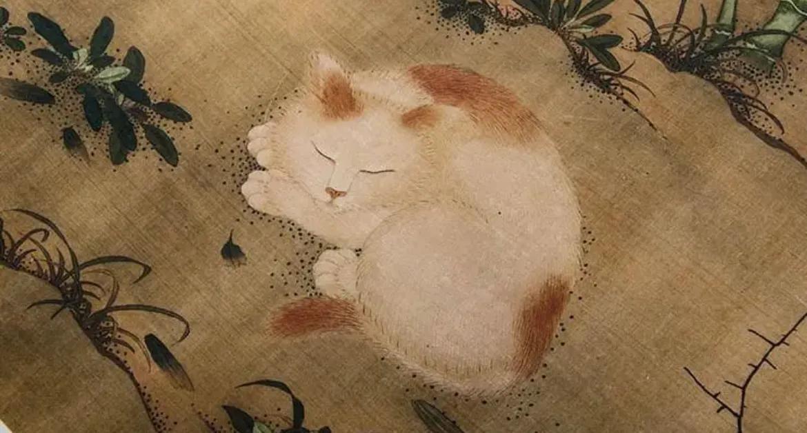 女人与猫的诗词