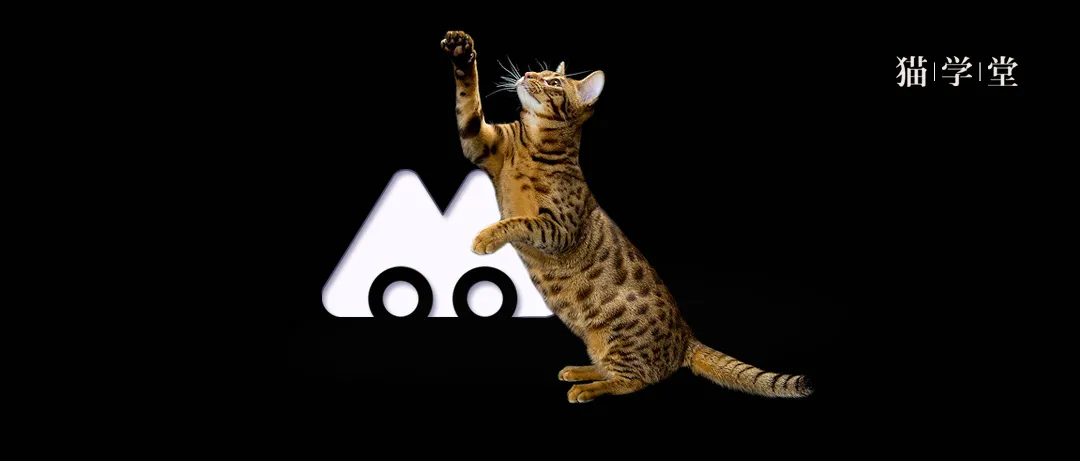 宠物猫是怎么培育出来的