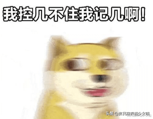 比较有野性的猫