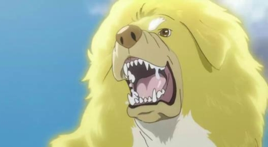 多吉雍直在藏语的意思