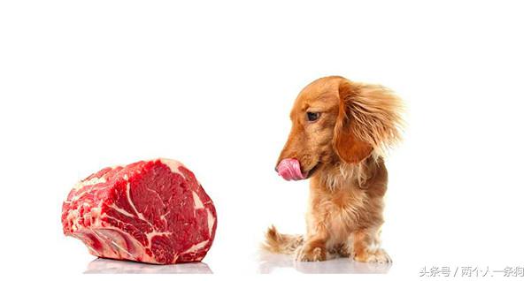 养迷你杜宾犬一个月开销多少钱