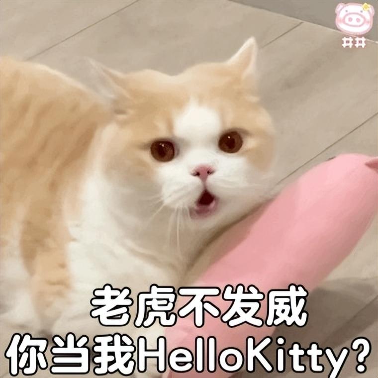 孟加拉豹猫可以家养吗
