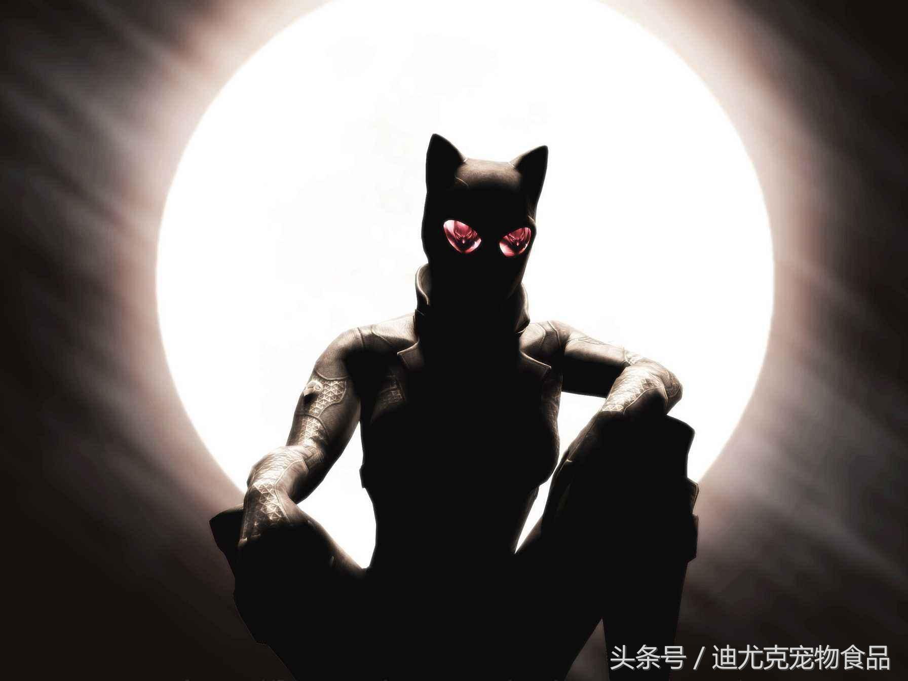 喜欢猫的女孩什么性格